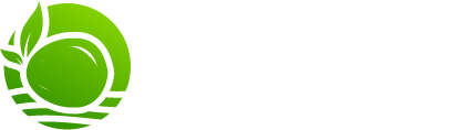 Indonesia Coconut