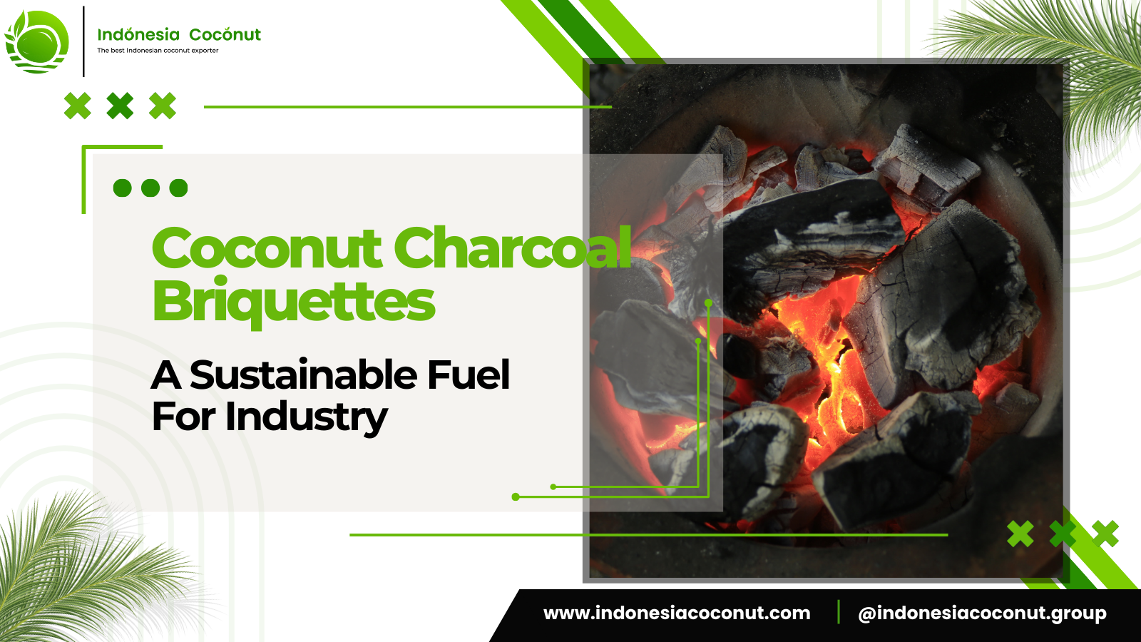 Coconut Charcoal Briquettes : A Sustainable Fuel For Industry