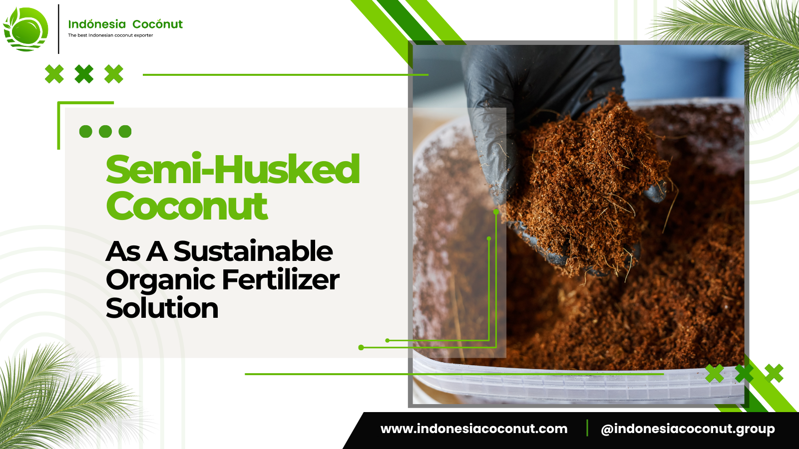 Semi-Husked Coconut As A Sustainable Organic Fertilizer Solution